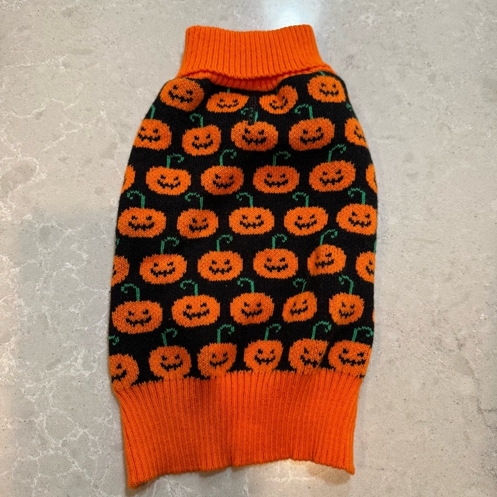 Festive Pumpkin Dog Sweater